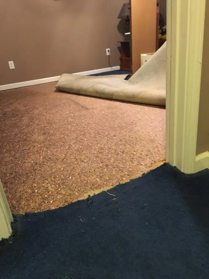 Carpet pad removal revealing water damage during Water Mitigation Services in Barnstead