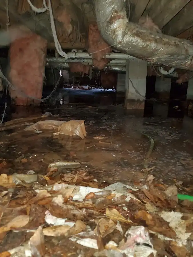 Crawl space flood assessment for Leak Detection & Repair in Barnstead